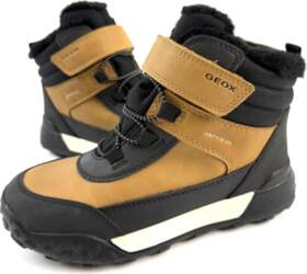GEOX 31