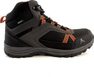 McKINLEY 43