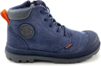 PALLADIUM 31