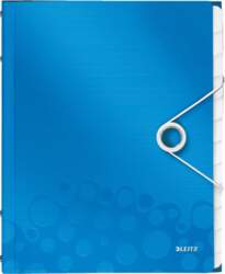Staples Leitz Divider Book WOW PP