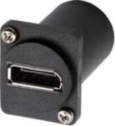 Adapteris Exsys D-Type DisplayPort ligzda uz