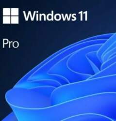 Microsoft Windows 11 Pro 1 licence