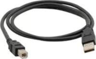USB A-B kabelis c-tech CB-USB2AB-18-B, USB