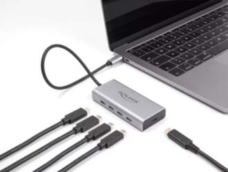 DeLOCK USB Hubs 10 Gbps Type-C
