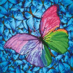 Diamond Dotz Flutter by Pink with