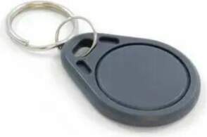 TOUCHMEMORY T5577 RFID čips, 2770040055770, 2000514143000