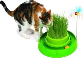 Catit Play `n Scratch ar zāli