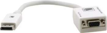 Kabelis DisplayPort Kramer Electronics DP -