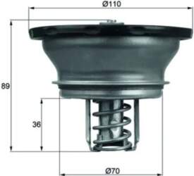 MAHLE Termostats THD 3 76
