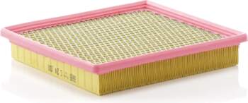 MANN-FILTER Gaisa filtrs C 24 100