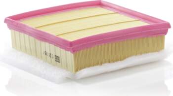 MANN-FILTER Gaisa filtrs C 20 106/1