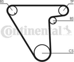 CONTINENTAL CTAM Zobsiksna CT833