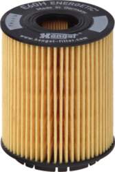 HENGST FILTER Eļļas filtri E60H D110