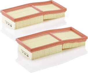 MANN-FILTER Gaisa filtrs C 2861-2