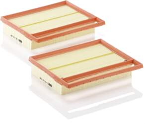 MANN-FILTER Gaisa filtrs C 25 110-2