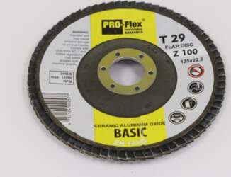 LAMEĻU SLĪPRIPA BASIC PRO 125*22.2
