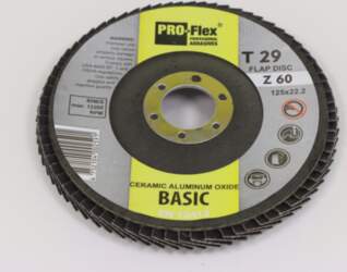 LAMEĻU SLĪPRIPA BASIC PRO 125*22.2