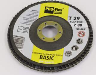 LAMEĻU SLĪPRIPA BASIC PRO 125*22.2