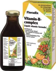 SALUS FLORADIX Vitamin B Complex šķidrums