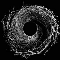 ES Dawn of Midi "Dysomnia"