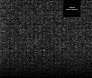 Portico Quartet "Terrain"
