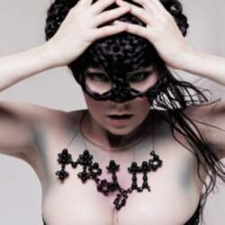 Bjork "Medulla"