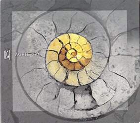 Iļģi "Agrie Gadi" 2LP