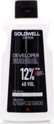 Systems Developer Goldwell 1000 Ml 40