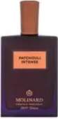 Molinard Patchouli Intense EDP