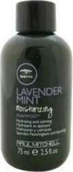 Paul Mitchell Tea Tree Lavender Mint