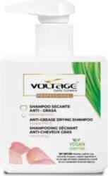 Voltage Cosmetics Voltage Prof Ch Secante