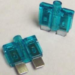 300 Fuses - (Glow When They