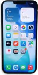 Apple iPhone 13 Pro Max (P794022)