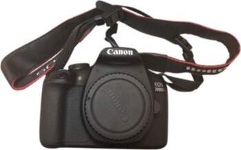 Canon Eos 2000D (P6622071)