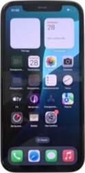 Apple iPhone 12 Pro (P1010238)