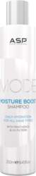 ASP Mode Care Moisture Boost Shampoo