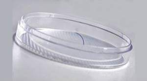 Glam Lashes Eyelash Holder – Paliktnis