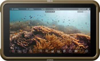 Atomos monitorius Ninja