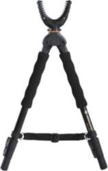 Vanguard Quest B38