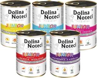 DOLINA NOTECI Junior Premium Mix вкусов