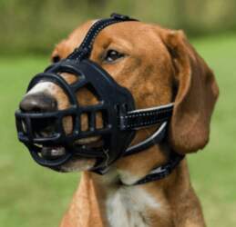 Trixie silikoninis antsnukis Muzzle Flex M