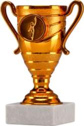 TRYUMF CUP 9037/B