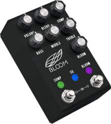 Compressor JACKSON AUDIO BLOOM MIDI BLACK