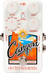Delay ELECTRO-HARMONIX NANO CANYON