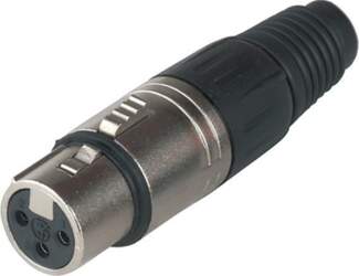 Plug XLR Plug