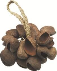 Shaker Seed Shell Toca Percussion