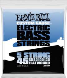 2810 Flatwound 5-string Electric Bass Strings