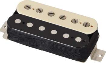 6165 Pasadena NK ZEBRA(TRAD) Schecter