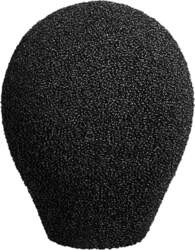 WNS 100 black Neumann