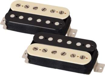 6495 Pasadena Combo ZEBRA(TREM)SET Schecter